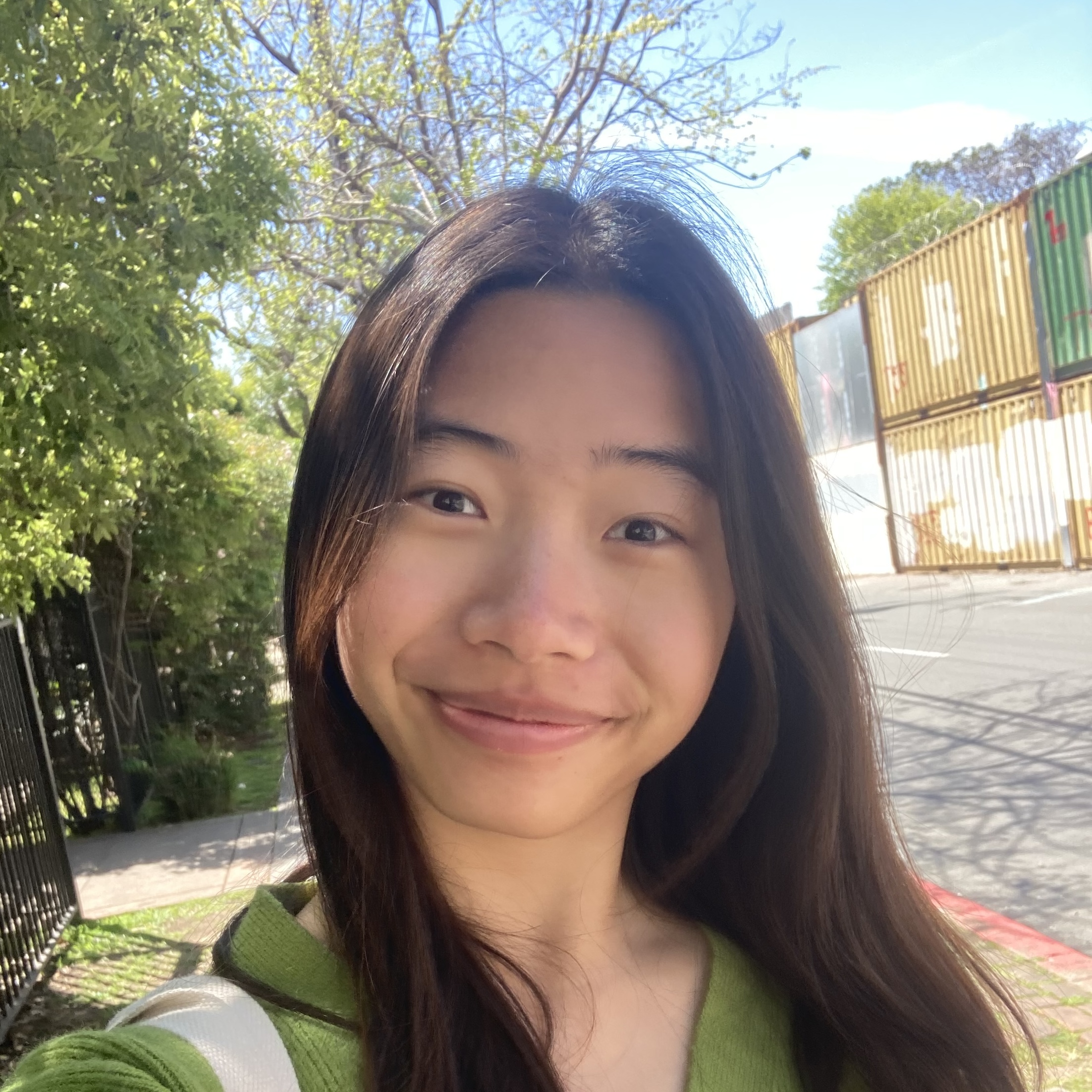 Jialin Jiang